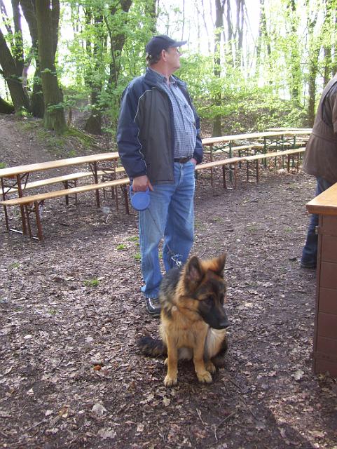 Steinkuhle 2008 (4).JPG